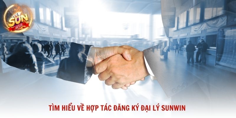 Tìm hiểu về hợp tác đăng ký đại lý Sunwin