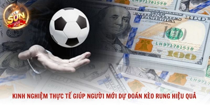 Kinh nghiệm thực tế giúp người mới dự đoán kèo rung hiệu quả