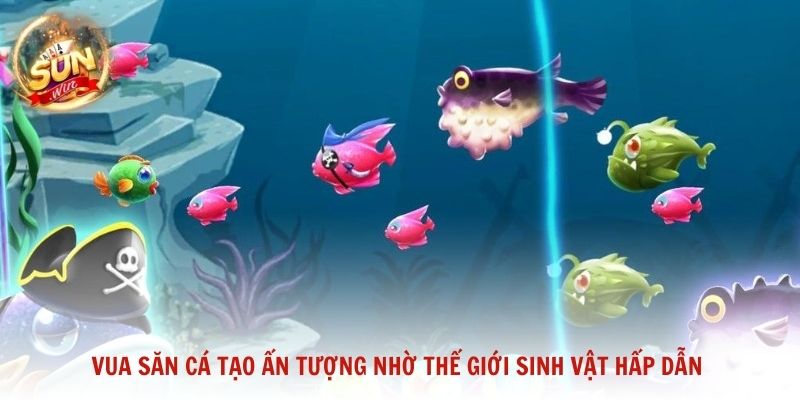 Vua săn cá tạo ấn tượng nhờ thế giới sinh vật hấp dẫn