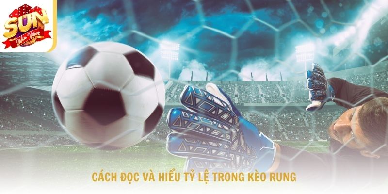 Cách Đọc Và Hiểu Tỷ Lệ Trong Kèo Rung