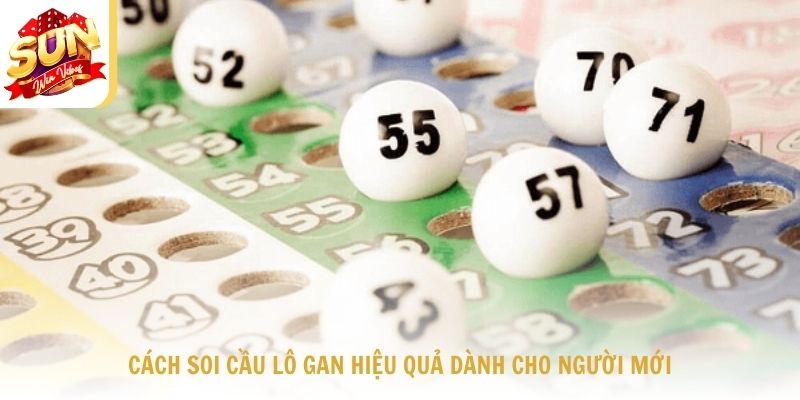 Cách Soi Cầu Lô Gan Hiệu Quả Dành Cho Người Mới