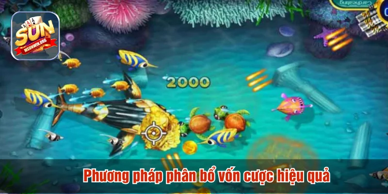 Phương pháp phân bổ vốn cược hiệu quả